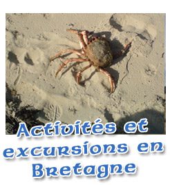 Activités et excursions en Bretagne